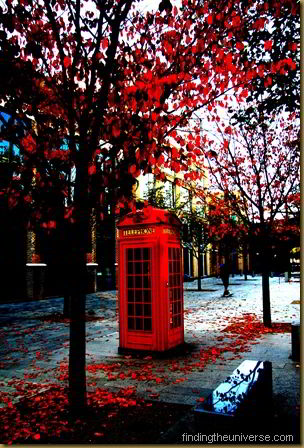Phone box in London, Autumn