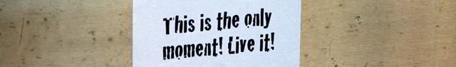 [Ifyoucanttakeadvicefrombumpersticker.jpg]