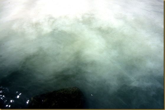 Lake water