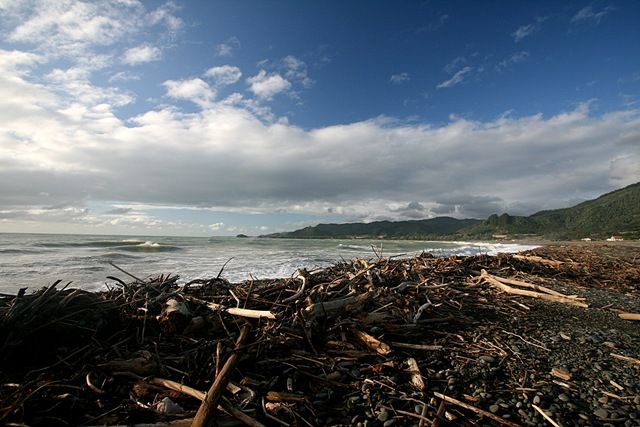 [Driftwood coated beach[4].jpg]