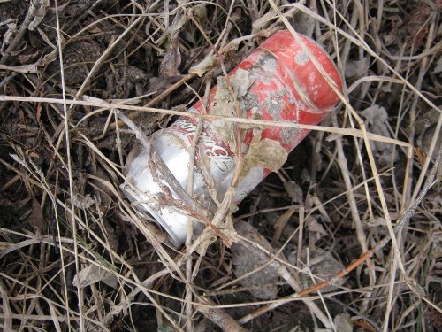 [budweiser72[4].jpg]