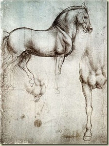 Study_of_horse