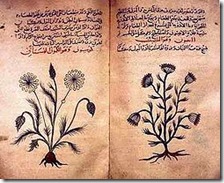 Arabic_herbal_medicine_guidebook