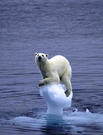 Global_Warming_polar_bear