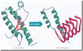 Prion Prion
