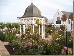 Rose Garden Voyager Estate