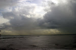 IMG_1003.jpg