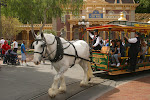 IMG_0007.JPG