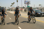 903-0365_IMG.JPG