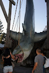 IMG_8179.JPG