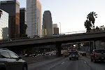 IMG_8239.JPG