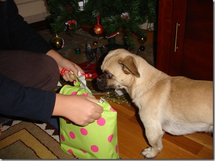 ¡Qué regalos!