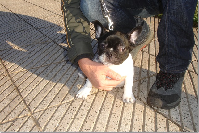 DSC08440 DSC08440