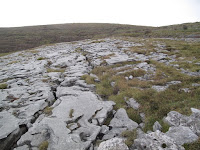 IMG_0307.JPG