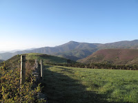 IMG_0058.JPG Photo