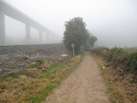 IMG_0186.JPG Photo