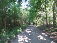 IMG_0299.JPG Photo