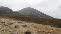 IMG_3322.JPG Photo
