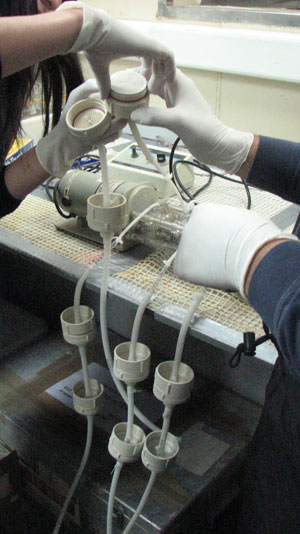 cientificaschilenas1.jpg