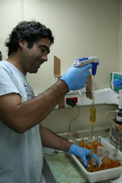 CO2-1.jpg