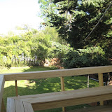 IMG_4298.JPG