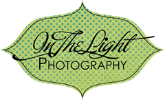 in the light photography logo 4