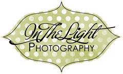 in the light photography logo 2