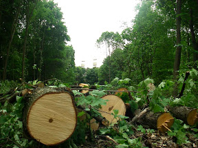 image3.jpg