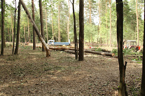 IMG_6575.JPG