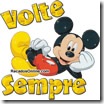 volte-sempre