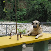 Bobbi.jpg