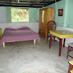 P1010635.jpg