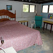 P1010639.jpg