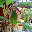 P1010043.jpg