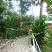 P1020198.jpg