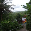 P1030401.JPG