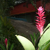 P1030437.JPG