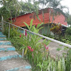 P1030440.JPG