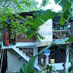 P1010620.jpg