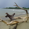 Fishing Trip at SuncampDR (40).JPG