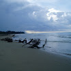 Fishing Trip at SuncampDR (78).JPG