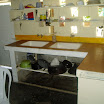 P1010018.JPG