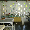 P1010025.JPG