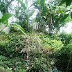 Mountain, property of Suncampdr (39).JPG