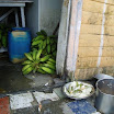 kitchen, Munoz Batey, volunteer Projects (25).JPG