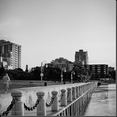 _MG_7371-edit-square-bw-web-watermarked