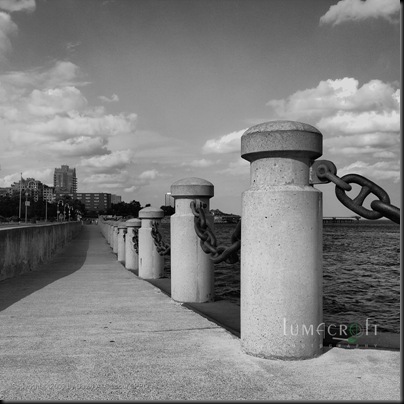 _MG_7407-square-bw-web-watermarked
