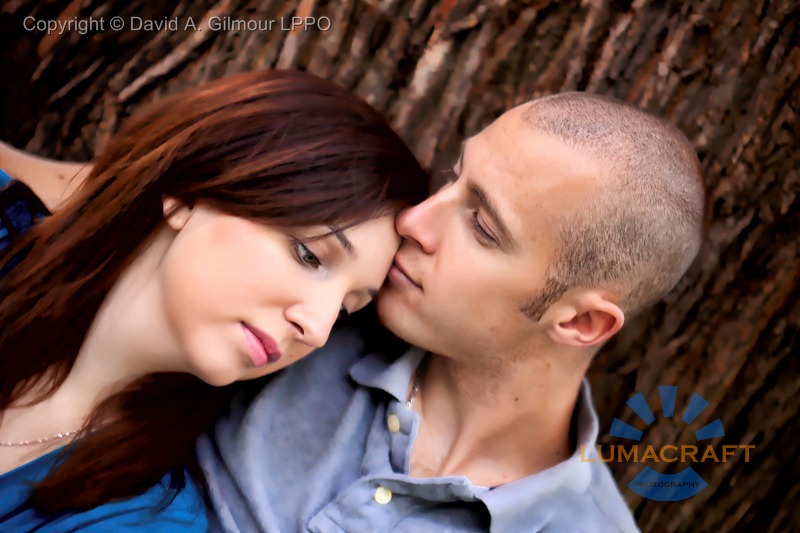 [_MG_0017-Edit-800px-logo[2].jpg]