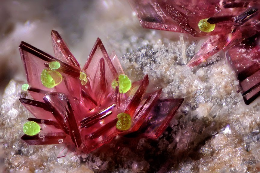 past pictures Eritrine