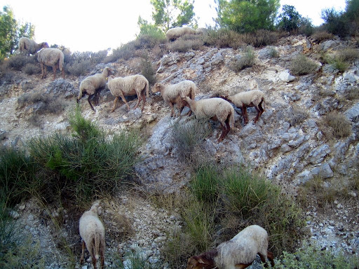 greece customs